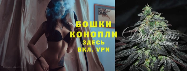 прущие крисы Ельня