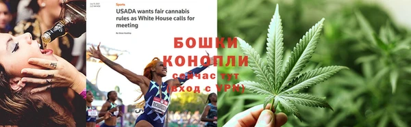 прущие крисы Ельня