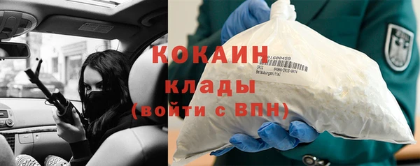 трава Елизово