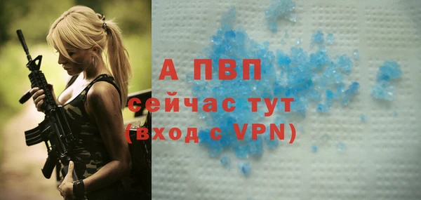 прущие крисы Ельня