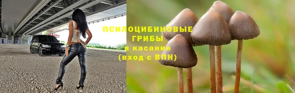 трава Елизово