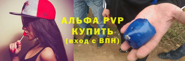 прущие крисы Ельня