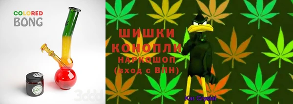 прущие крисы Ельня