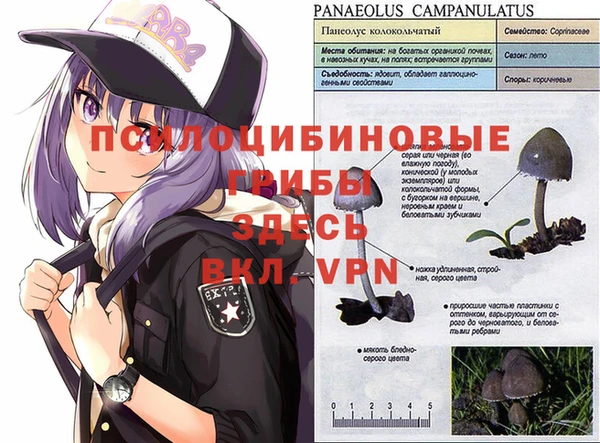 трава Елизово