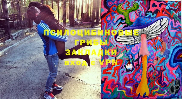 трава Елизово
