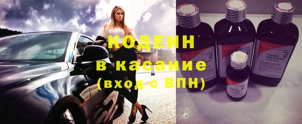 прущие крисы Ельня