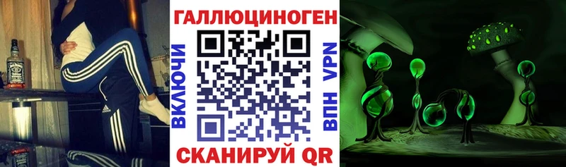 Псилоцибиновые грибы MAGIC MUSHROOMS  Купить  Иланский 