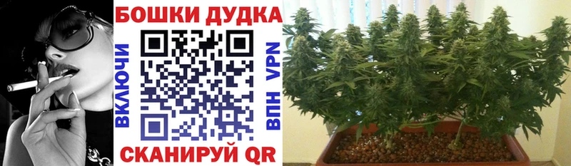 МАРИХУАНА семена Иланский